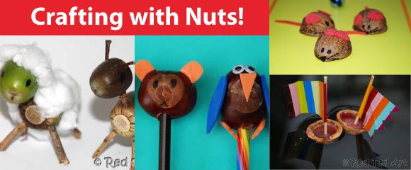 Nut Crafts