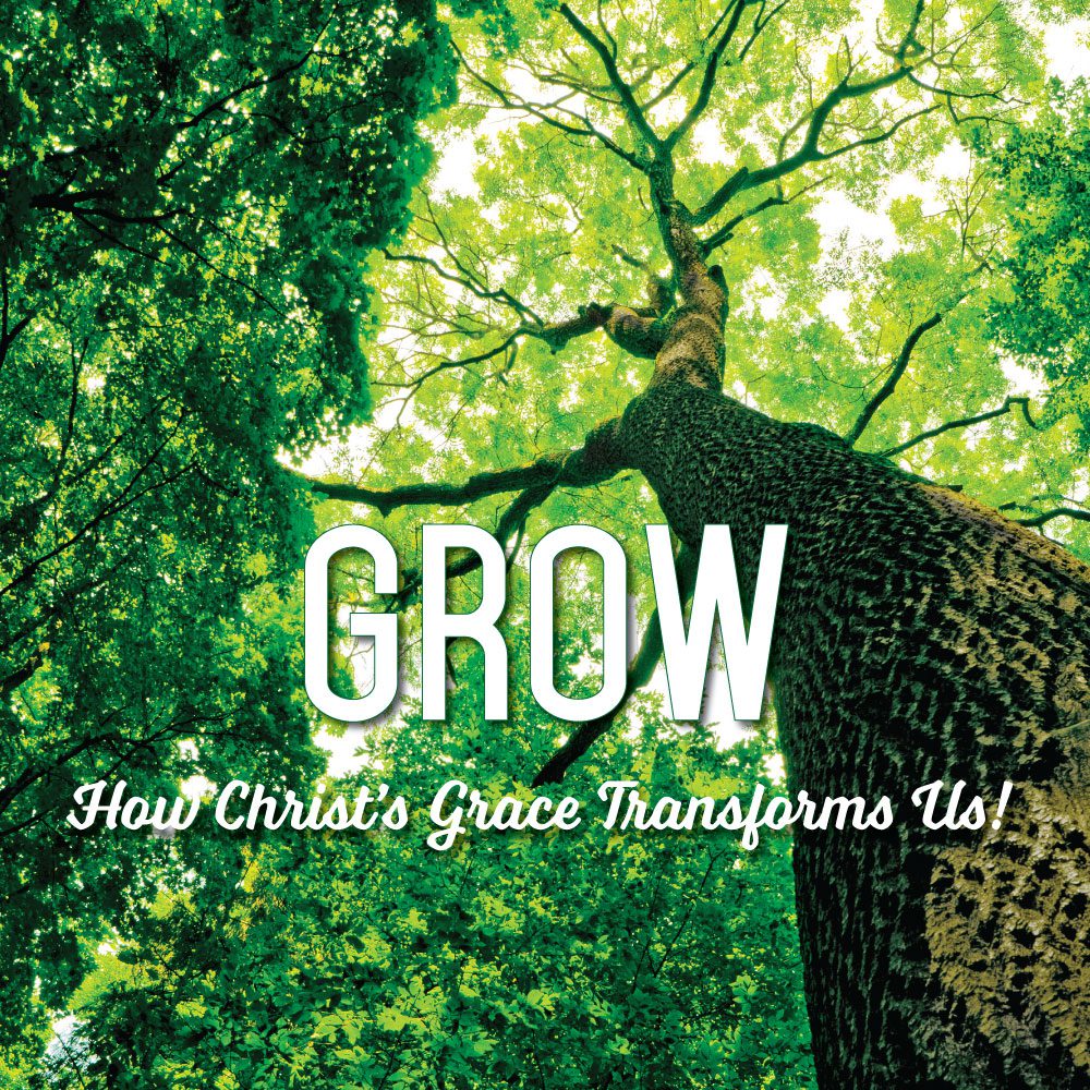 Holy Spirit Fueled Growth